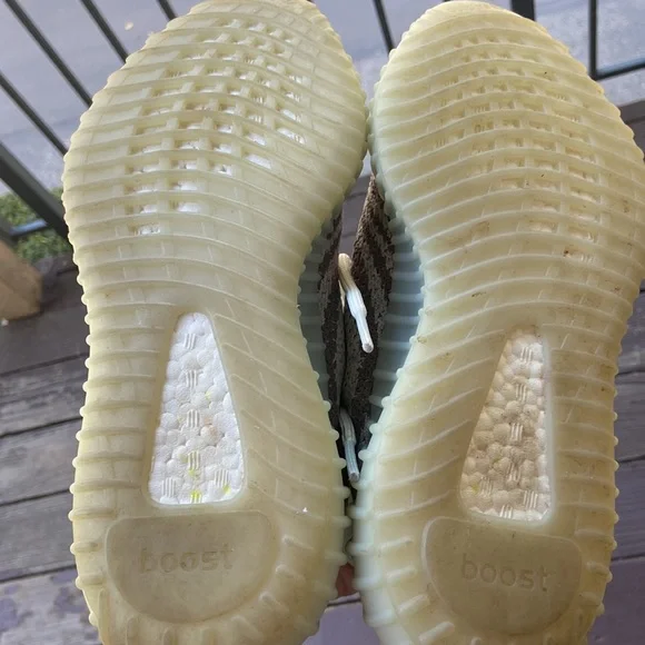 Yeezy boost 350 v2